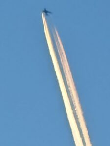 IMG 20250223 180420 scaled