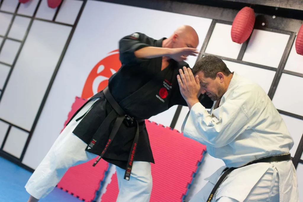 bunkai im alltagstraining – karate zwischen anspruch und realität 3 bunkai anwendung web 1680px